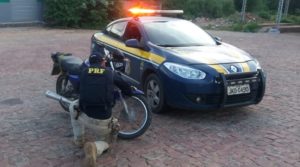 Veículos recuperados pela prf em piaui